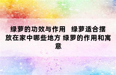 绿萝的功效与作用   绿萝适合摆放在家中哪些地方 绿萝的作用和寓意